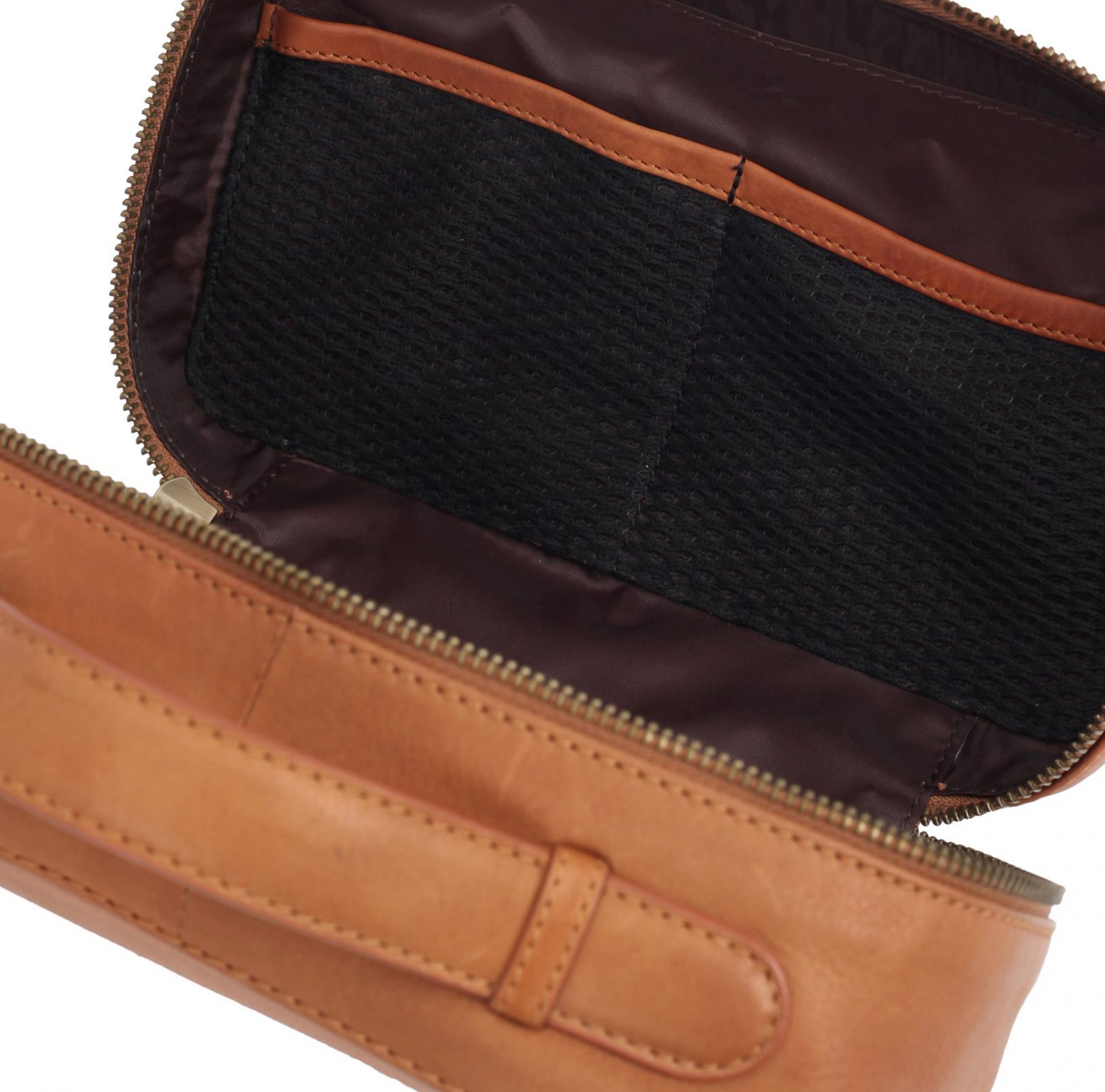 Tetras-Close-up-scaled-1